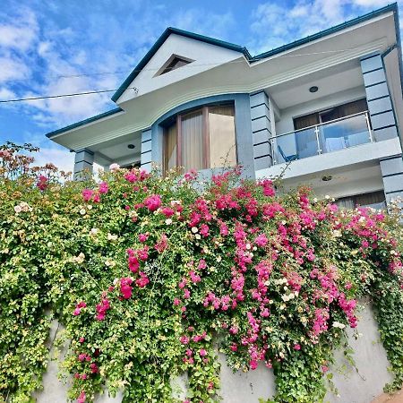 Guest House Botanical Paradise Mtsvane Konts'khi Εξωτερικό φωτογραφία